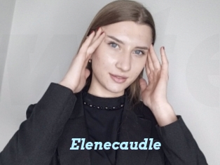 Elenecaudle