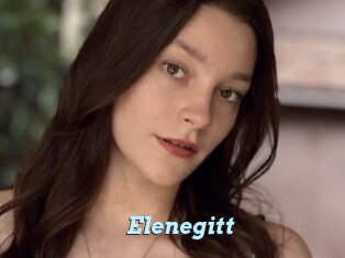 Elenegitt