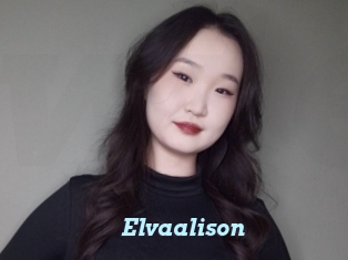 Elvaalison