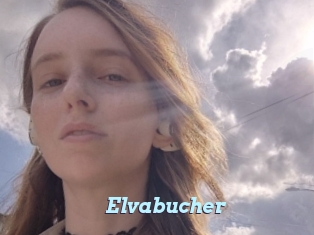 Elvabucher