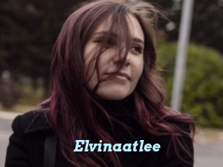 Elvinaatlee