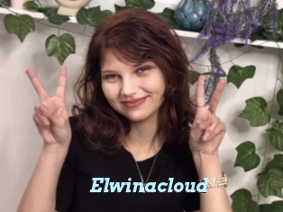 Elwinacloud