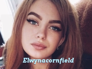 Elwynacornfield