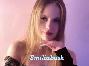 Emiliabush