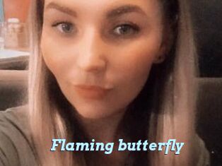 Flaming_butterfly