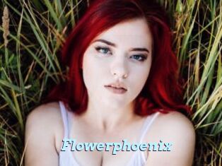 Flowerphoenix