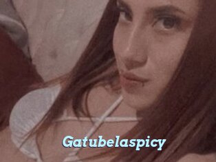 Gatubelaspicy