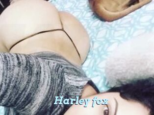 Harley_fox