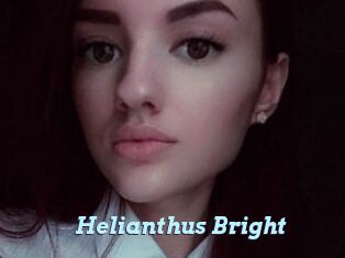 Helianthus_Bright