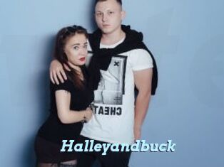 Halleyandbuck