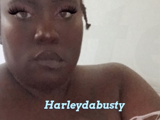 Harleydabusty