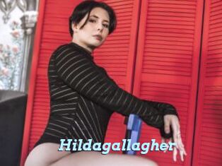 Hildagallagher