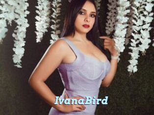 IvanaBird