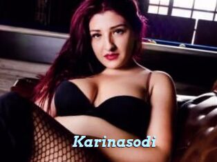 Karinasodi