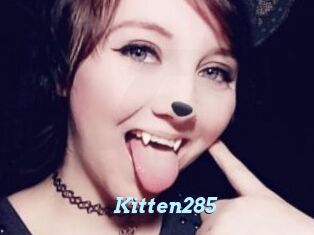 Kitten285