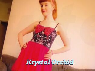 Krystal_Orchid