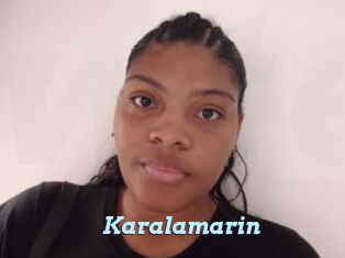 Karalamarin