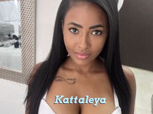 Kattaleya