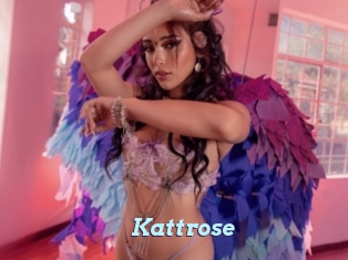 Kattrose