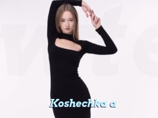 Koshechka_a