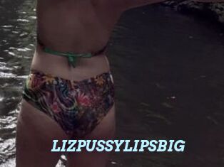 LIZPUSSYLIPSBIG