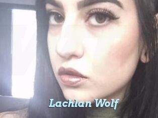 Lachlan_Wolf