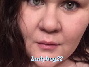 Ladybug22