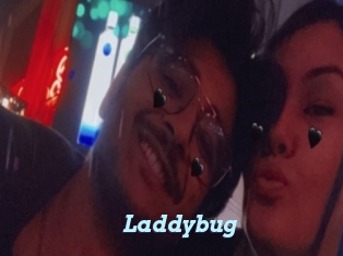 Laddybug