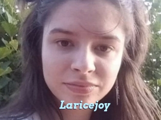 Laricejoy