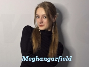 Meghangarfield