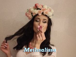 Meilssalissa