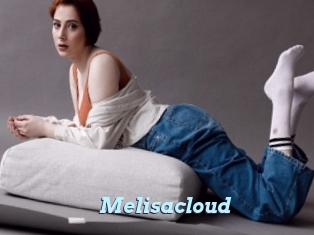 Melisacloud