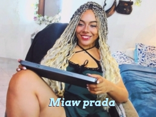 Miaw_prada