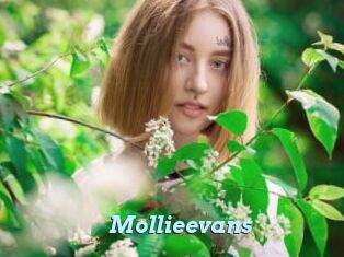 Mollieevans