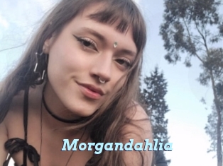 Morgandahlia