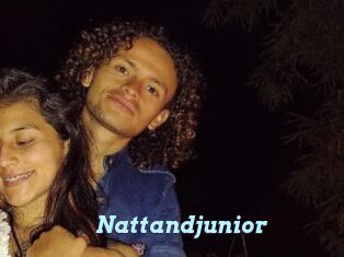 Nattandjunior