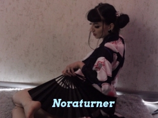 Noraturner