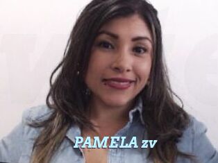 PAMELA_zv