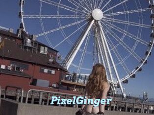 PixelGinger