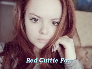 Red_Cuttie_Fox