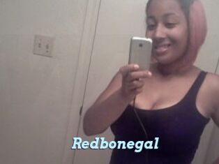 Redbonegal