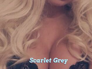 Scarlet_Grey