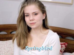 Springbird