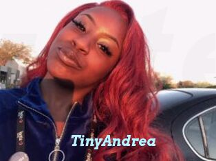 TinyAndrea