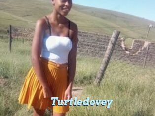 Turtledovey