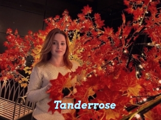 Tanderrose