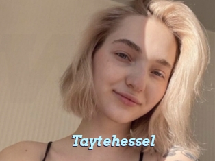 Taytehessel