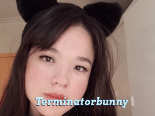 Terminatorbunny