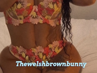 Thewelshbrownbunny