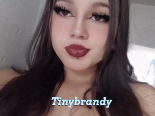 Tinybrandy